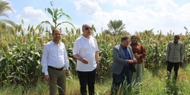 الإرشاد الزراعي