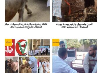 الخدمات البيطرية