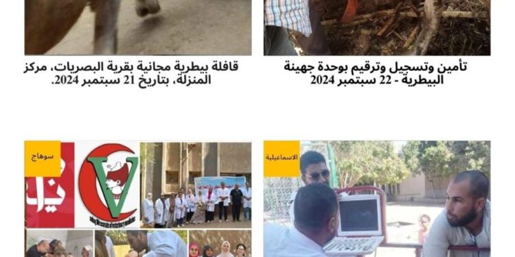 الخدمات البيطرية