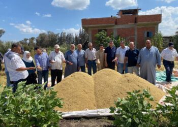 البحوث الزراعية