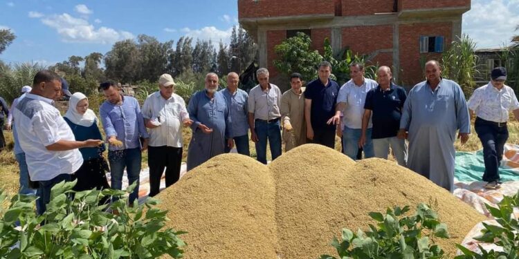 البحوث الزراعية