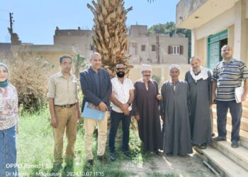 المركزي للنخيل