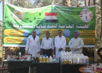 “الخدمات البيطرية” تعالج 1177 رأس ماشية من الخيول والجمال والدواب بمنطقة سقارة بالهرم