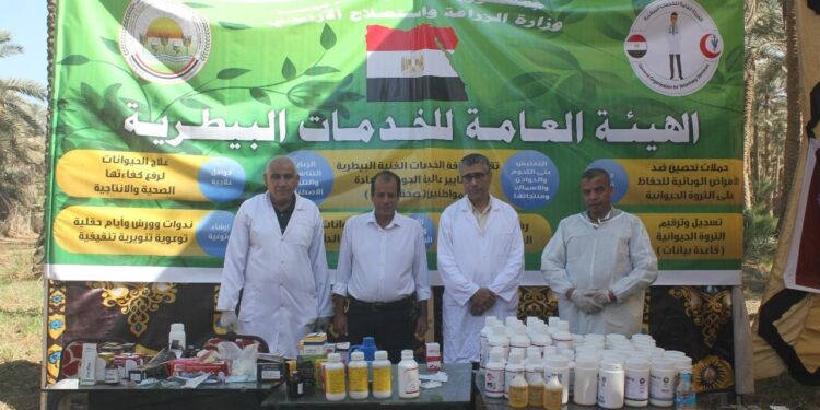 "الخدمات البيطرية" تعالج 1177 رأس ماشية من الخيول والجمال والدواب بمنطقة سقارة بالهرم 1 “الخدمات البيطرية” تعالج 1177 رأس ماشية من الخيول والجمال والدواب بمنطقة سقارة بالهرم