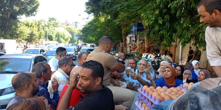 "قطاع الثروة الحيوانية" يواصل إطلاق منافذه المتحركة لبيع بيض المائدة 150 جنية للكرتونة 1 الثروة الحيوانية