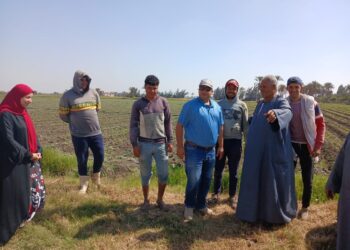 الإرشاد الزراعي