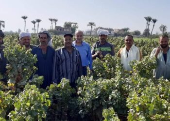 نشاط إرشادي