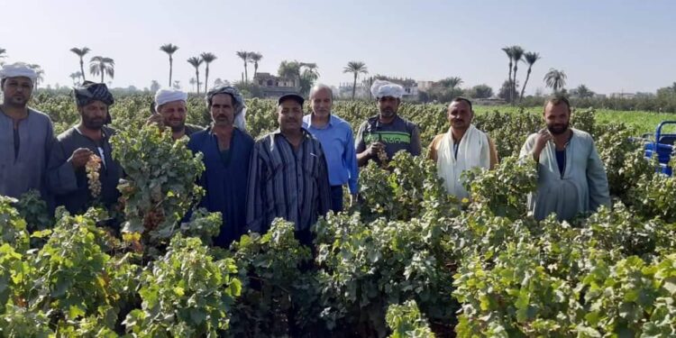 نشاط إرشادي