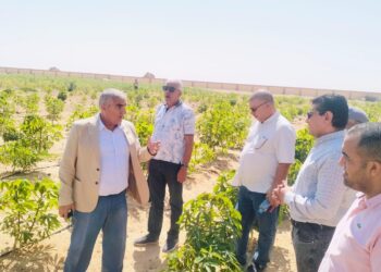 وفد «أكساد» يتفقد أنشطة مركز بحوث الصحراء بالوادي الجديد