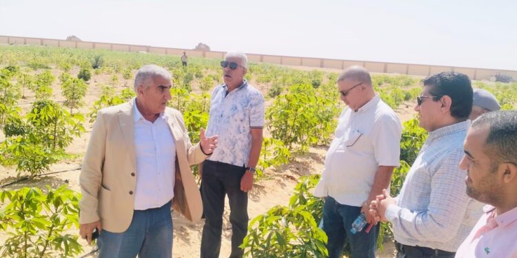 وفد «أكساد» يتفقد أنشطة مركز بحوث الصحراء بالوادي الجديد