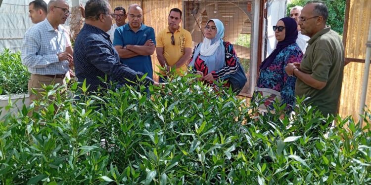 «بحوث الصحراء» و«العامة للبترول» يبحثان سبل التعاون لخدمة المجتمعات البدوية بجنوب سيناء 1 بحوث الصحراء