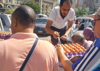 الزراعة تواصل طرح بيض المائدة للمواطنين بسعر 150 جنية للطبق الواحد