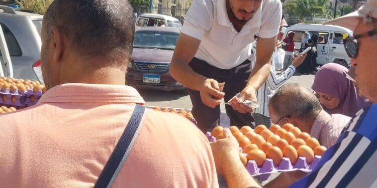 الزراعة تواصل طرح بيض المائدة للمواطنين بسعر 150 جنية للطبق الواحد 1 الزراعة تواصل طرح بيض المائدة للمواطنين بسعر 150 جنية للطبق الواحد