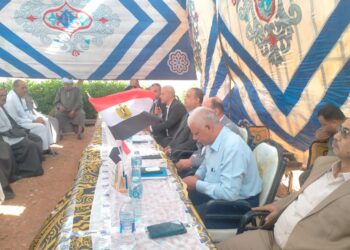 «زراعة الشرقية»: 9 توصيات لزراعة محصول القمح..و4 للطماطم