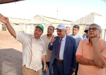 محاصيل التصدير