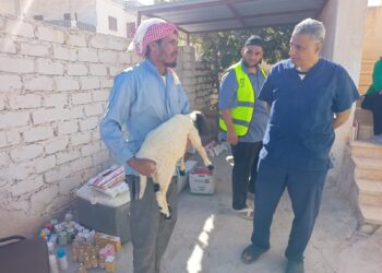 بحوث التناسليات