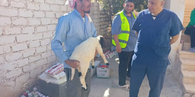 بحوث التناسليات