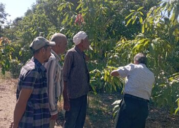 المركزية للإرشاد الزراعي