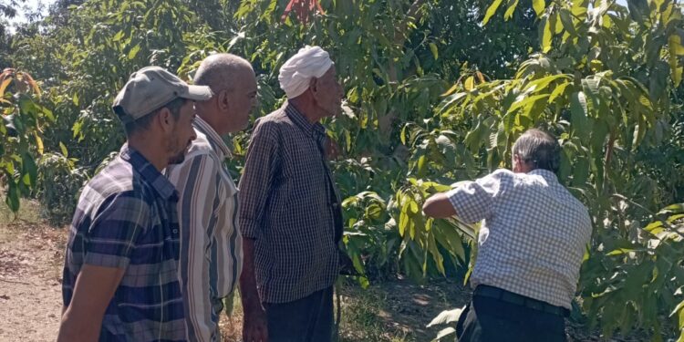 المركزية للإرشاد الزراعي