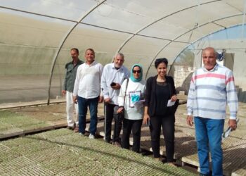 “الزراعة” تواصل أعمال المرور على مشاتل إنتاج الخضر بالمحافظات