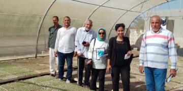 "الزراعة" تواصل أعمال المرور على مشاتل إنتاج الخضر بالمحافظات 2 “الزراعة” تواصل أعمال المرور على مشاتل إنتاج الخضر بالمحافظات