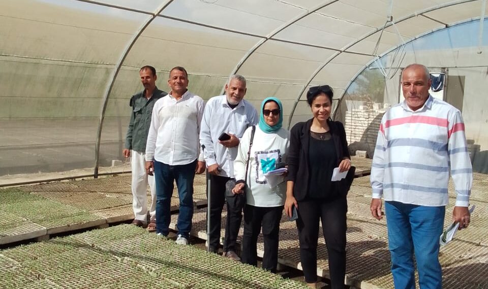 “الزراعة” تواصل أعمال المرور على مشاتل إنتاج الخضر بالمحافظات