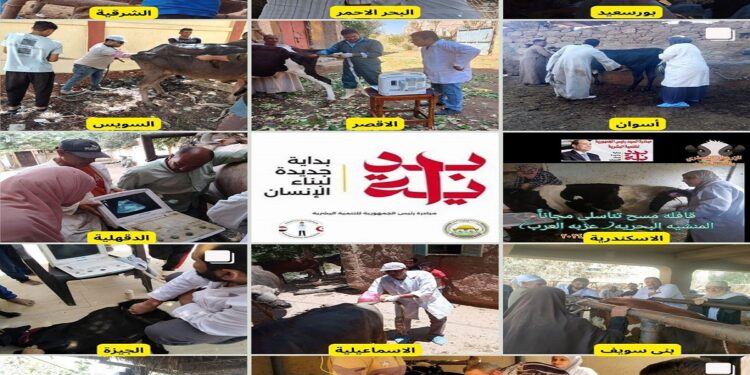 للخدمات البيطرية