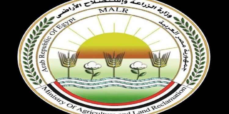 منظومة تداول القطن تعلن فتح مراكز التجميع بمحافظات الوجه البحرى اعتبارا من الغد 1 القطن