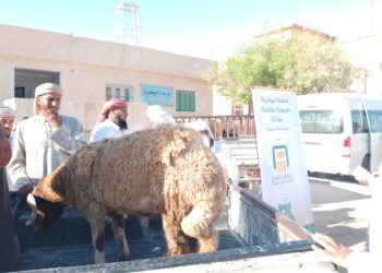 بحوث التناسليات