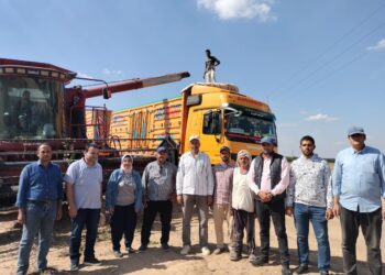 الفول الصويا