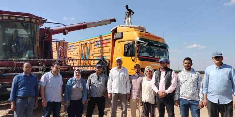 الفول الصويا