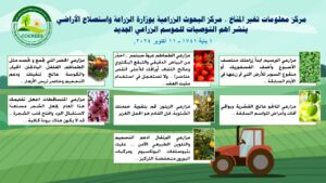 الزراعة