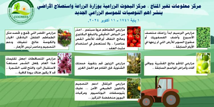 "الزراعة" تنشر أهم التوصيات الفنية للموسم الزراعي الجديد 1 الزراعة