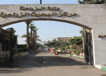 تكنولوجيا الأغذية