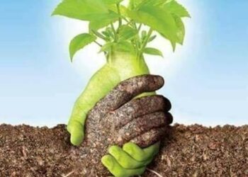 الزراعة النظيفة