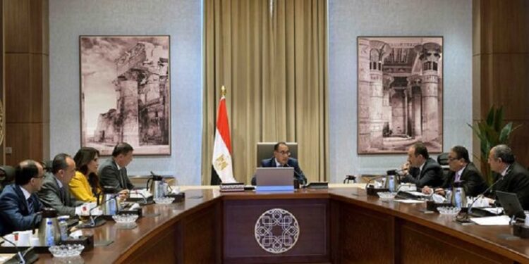الحكومة تُدبّر التمويل اللازم لشراء الأقطان المصرية 1 شراء الأقطان