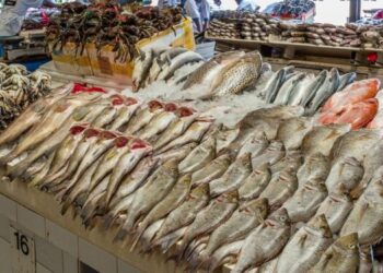 أسعار الأسماك 15 أكتوبر 2024 داخل أسواق الجملة