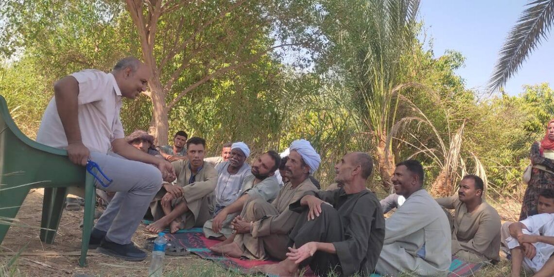 زراعة أسوان