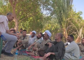 زراعة أسوان