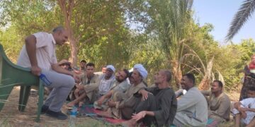 فريق إرشادي لمحصول المانجو بـ«زراعة أسوان» 3 زراعة أسوان