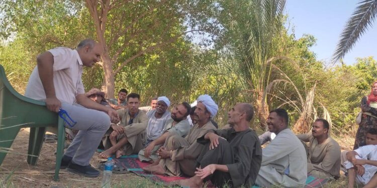 فريق إرشادي لمحصول المانجو بـ«زراعة أسوان» 1 زراعة أسوان