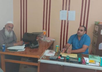 زراعة الإسكندرية