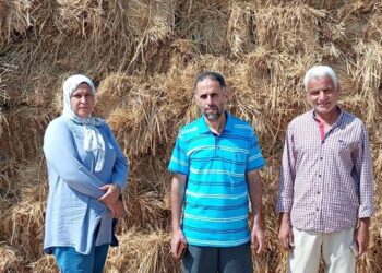 زراعة الشرقية