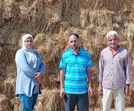 «زراعة الشرقية» توصي المزارعين بأهمية تدوير المخلفات الزراعية من وتنفيذ كومات أسمدة 1 زراعة الشرقية