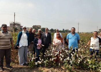 زراعة الشرقية