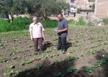 زراعة الغربية