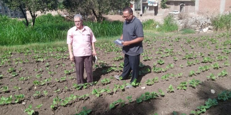 «زراعة الغربية» تواصل عمليات جرد الجمعيات بالإدارات الزراعية المختلفة 1 زراعة الغربية