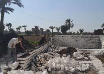 زراعة الفيوم