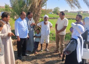 زراعة الفيوم