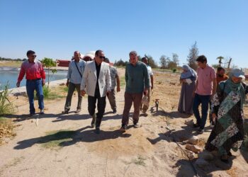 زراعة جنوب سيناء